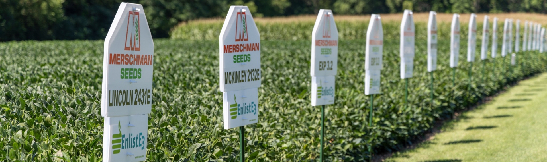 Merschman Seeds signs in a soybean field.