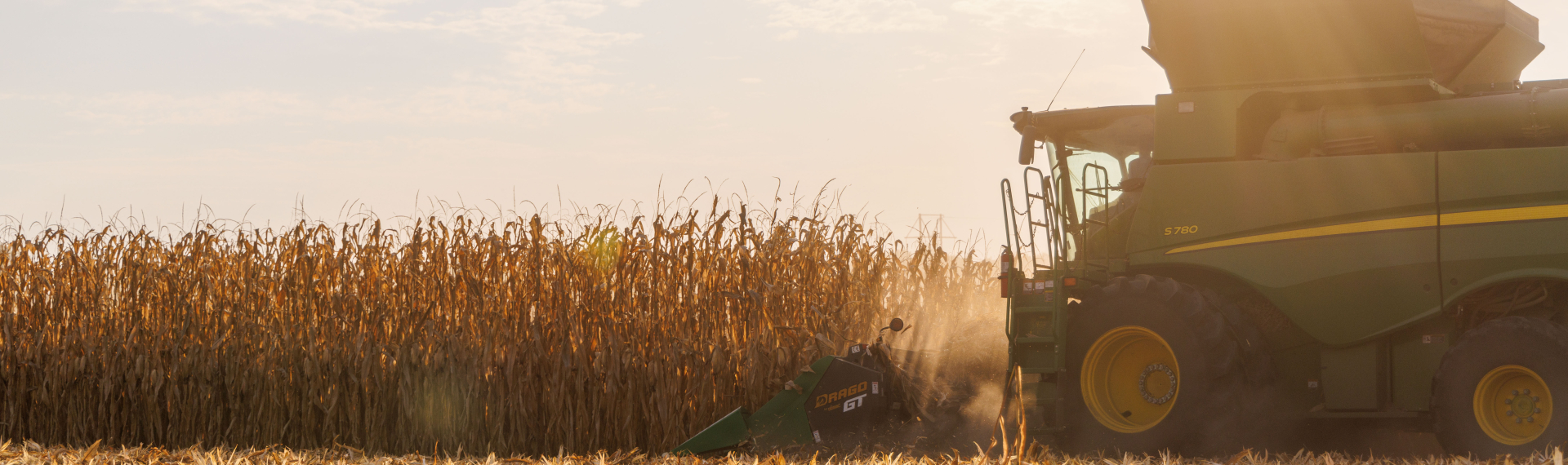 Harvesting Corn at Golden Hour