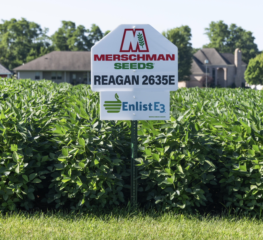 Merschman Seeds Soybeans sign