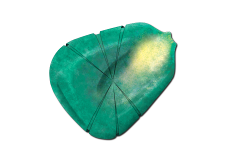 Cover Photo for Learn About Our Starting Line™ Seed Treatment for Corn